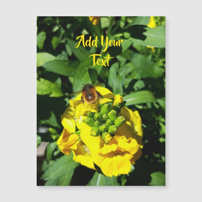 Bee on Yellow Flowers Magnetkarte (Vorderseite)