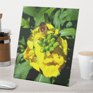 Bee on Yellow Flowers Sockelschild