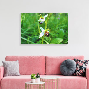 Bee Orchid Leinwanddruck