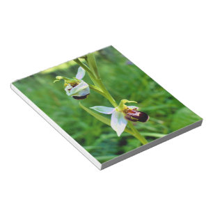 Bee Orchid Notizblock