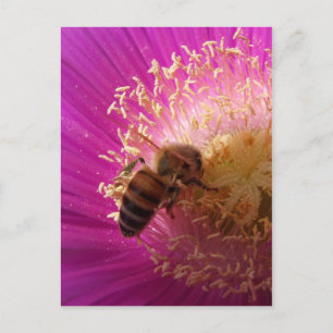 Bee Postcard Postkarte