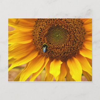 Bee Sunny Postkarte
