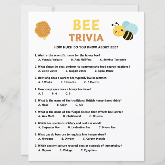 Bee Trivia Game (Vorderseite)