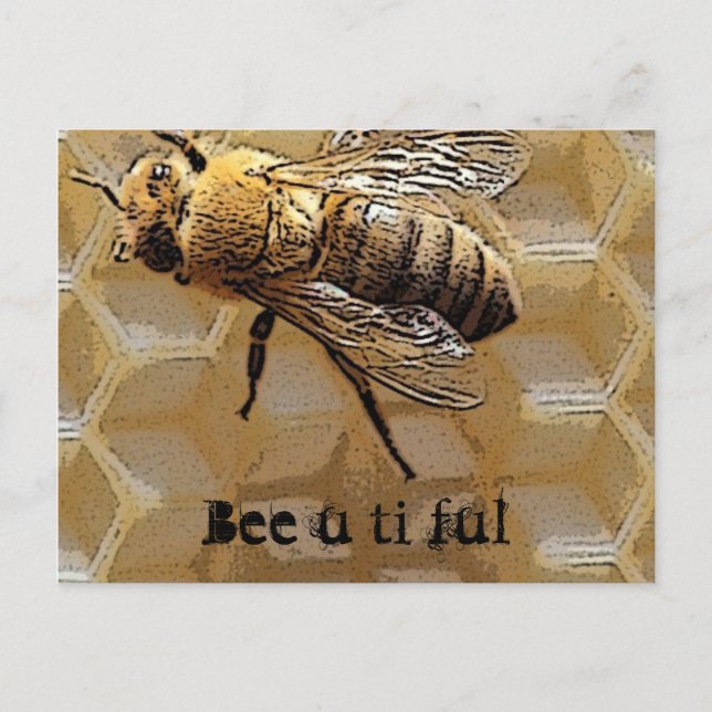 Bee u ti ful postkarte (Vorderseite)