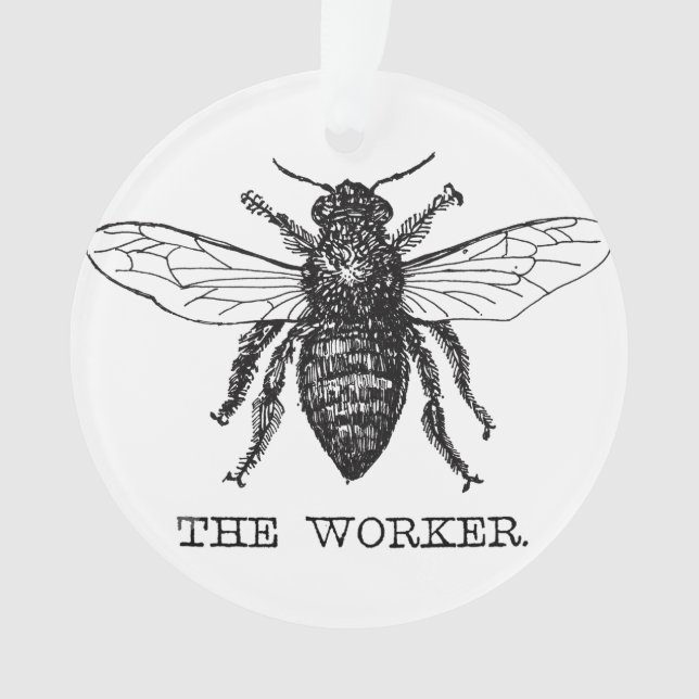 Bee Worker Honey Black Bumblebee Ornament (Vorderseite)