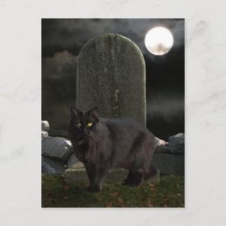 "Beebs by Moonlight" Postkarte