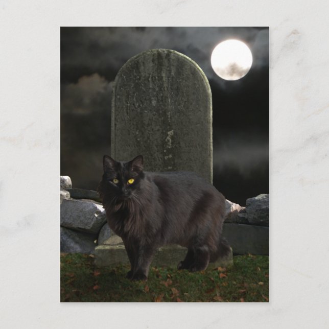 "Beebs by Moonlight" Postkarte (Vorderseite)