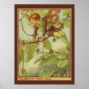 Beech Tree Fairy von Vision Studio Poster
