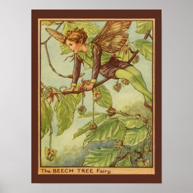 Beech Tree Fairy von Vision Studio Poster (Vorne)