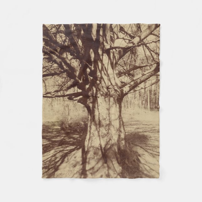 Beech Tree (von Eugène Atget) Fleecedecke (Vorderseite)