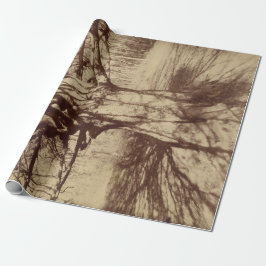 Beech Tree (von Eugène Atget) Geschenkpapier