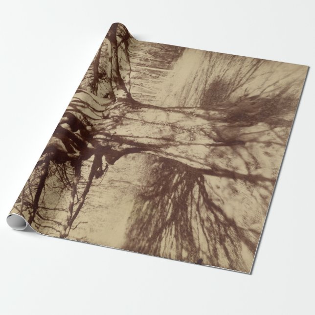 Beech Tree (von Eugène Atget) Geschenkpapier (Ungerollt)