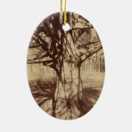 Beech Tree (von Eugène Atget) Keramik Ornament