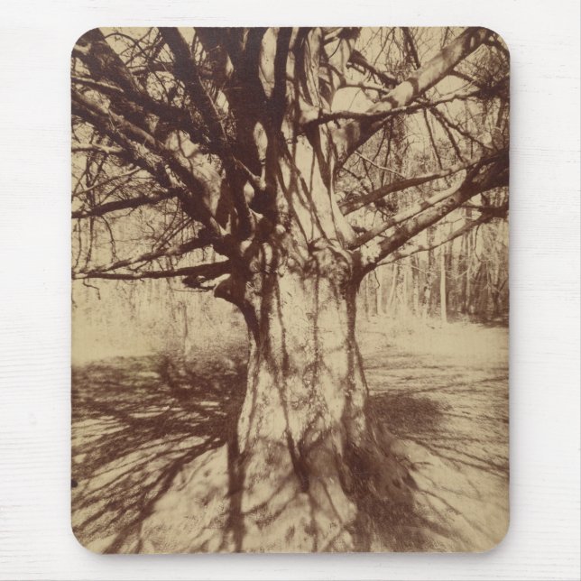 Beech Tree (von Eugène Atget) Mousepad (Vorne)