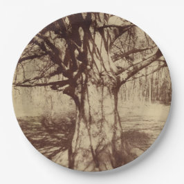 Beech Tree (von Eugène Atget) Pappteller