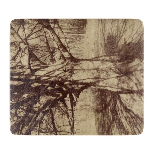 Beech Tree (von Eugène Atget) Schneidebrett (Vorderseite)