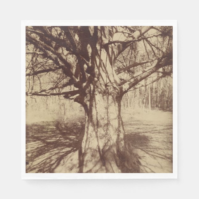Beech Tree (von Eugène Atget) Serviette (Vorderseite)