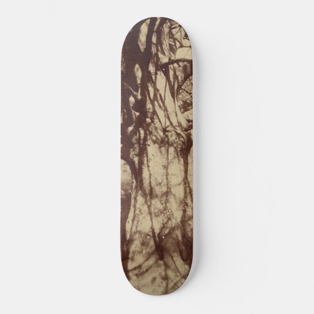 Beech Tree (von Eugène Atget) Skateboard (Vorderseite)