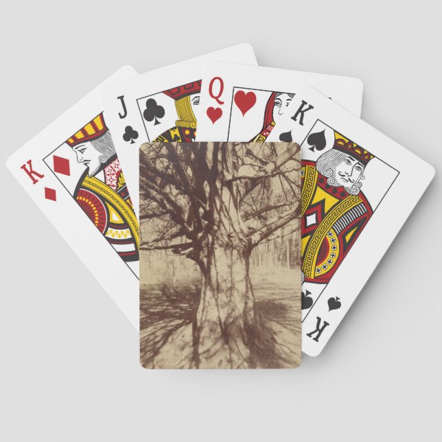 Beech Tree (von Eugène Atget) Spielkarten (Rückseite)