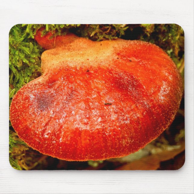 Beefsteak-Pilz-Mäusematte Mousepad (Vorne)