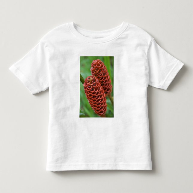 Beehive Ginger, Zingiber spectabile), Kleinkind T-shirt (Vorderseite)