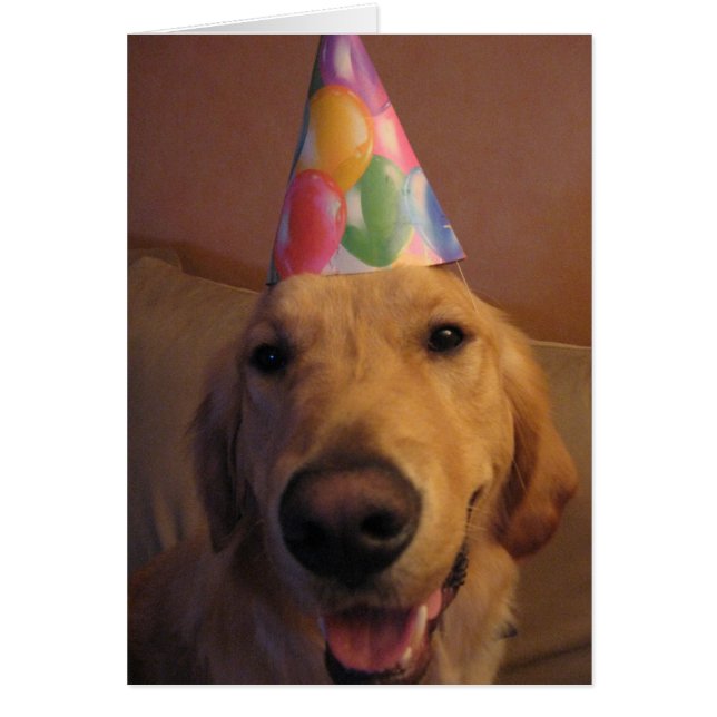 Beeilen Sie sich oben und essen Sie (Vorne)