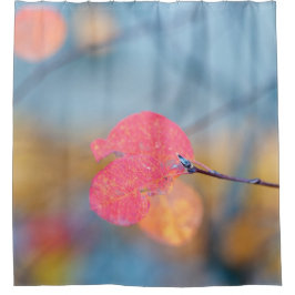 Beeindruckende Blätter von Cotonou Duschvorhang