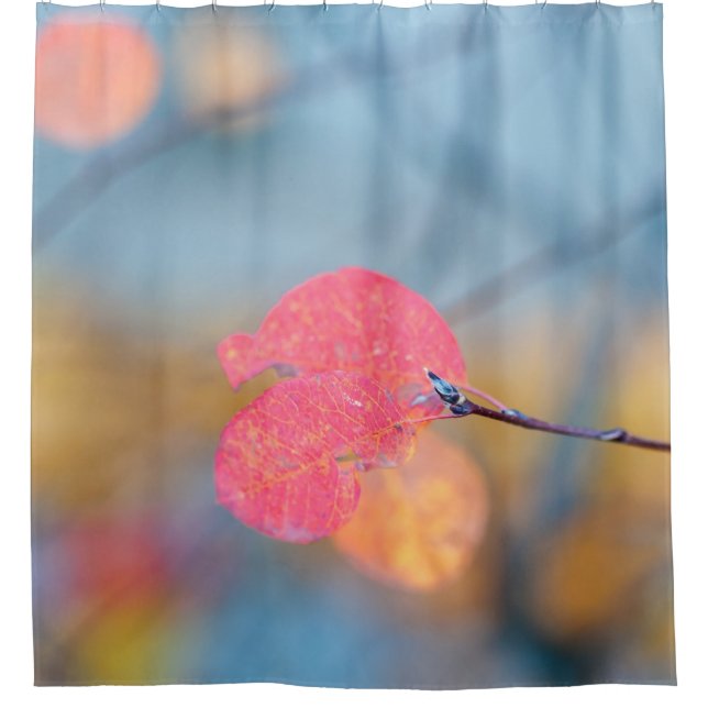 Beeindruckende Blätter von Cotonou Duschvorhang (Vorderseite)