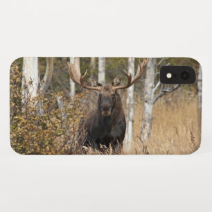 Beeindruckende Bull Moose Case-Mate iPhone Hülle