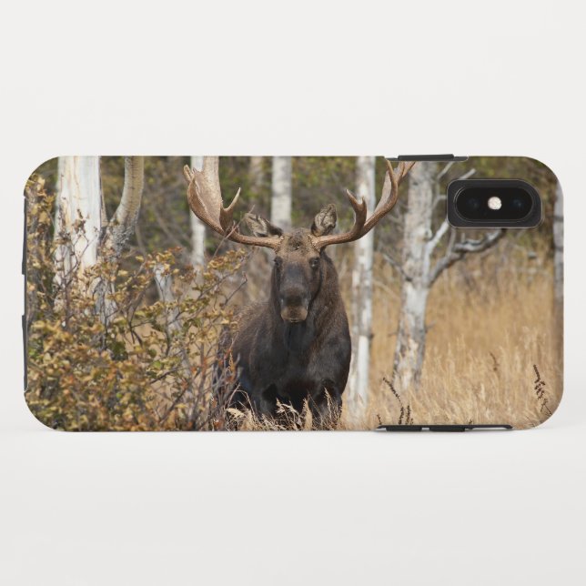 Beeindruckende Bull Moose Case-Mate iPhone Hülle (Rückseite (Horizontal))