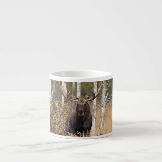 Beeindruckende Bull Moose Espressotasse (Vorderseite)