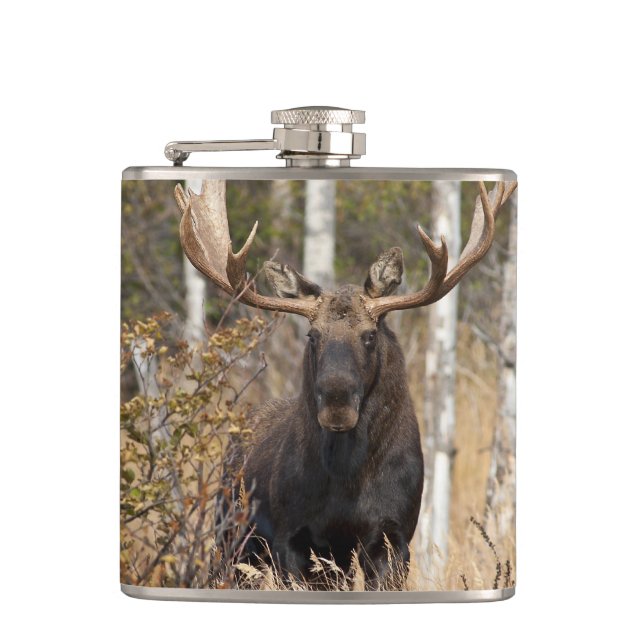 Beeindruckende Bull Moose Flachmann (Vorderseite)