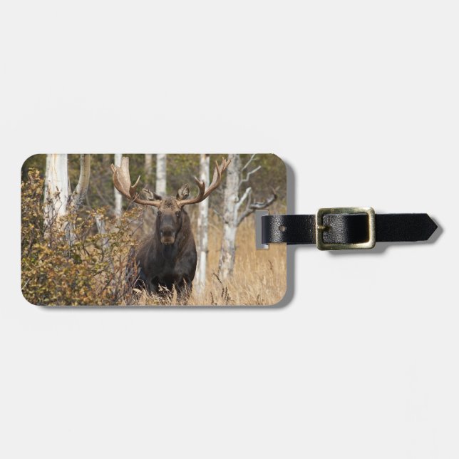 Beeindruckende Bull Moose Gepäckanhänger (Vorderseite horizontal)