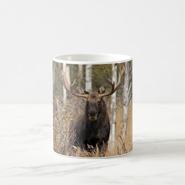 Beeindruckende Bull Moose Kaffeetasse (Mittel)
