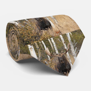 Beeindruckende Bull Moose Krawatte