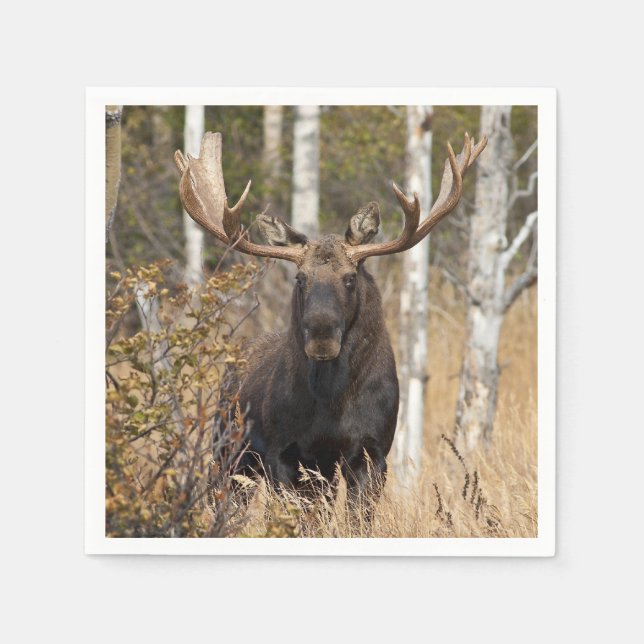 Beeindruckende Bull Moose Serviette (Vorderseite)