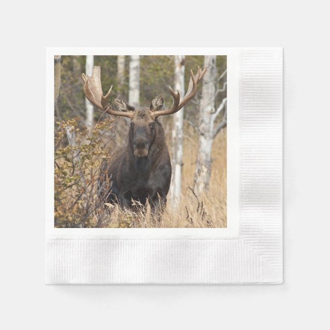 Beeindruckende Bull Moose Serviette (Vorderseite)