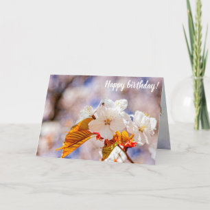 Beeindruckende Sakura-Blume an einem sonnigen Früh Karte