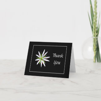 Beeindruckende Schwarz-Weiß-Blumen Danke