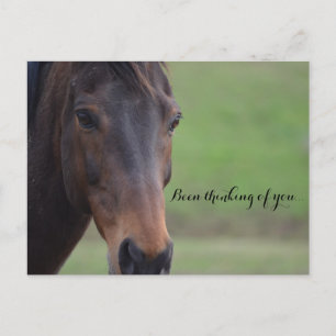 Been thinking of you. postkarte