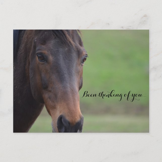 Been thinking of you. postkarte (Vorderseite)