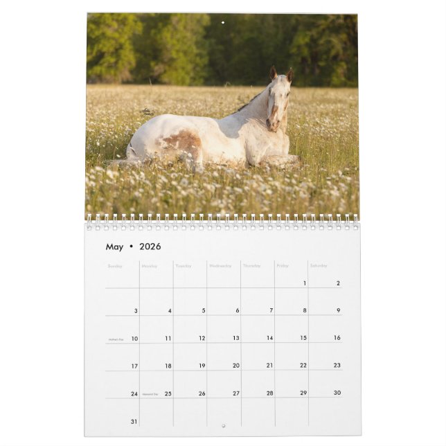 Beenden des Blinden 2023-Kalenders Kalender (Mai 2026)