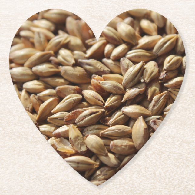 Beer brewing malted barley körner background untersetzer (Vorderseite)