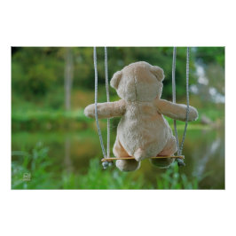 Beer op schommel vanaf de rug. poster