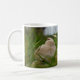 Beer relaxt in natuur met Hollandse molen. Kaffeetasse