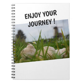 Beer relaxt in natuur met Hollandse molen. Notizblock