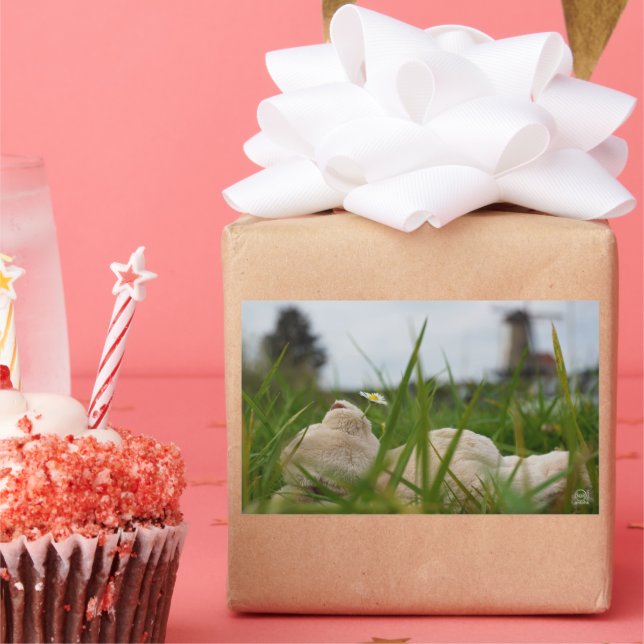 Beer relaxt in natuur met Hollandse molen. Rechteckiger Aufkleber (Party)