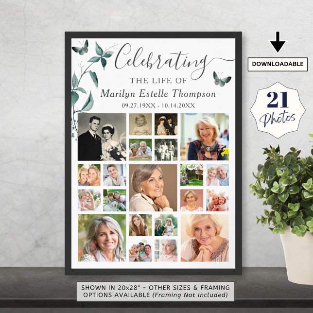 Beerdigung 21 FotoCollage Botanischer Schmetterlin Poster (Von Creator hochgeladen)