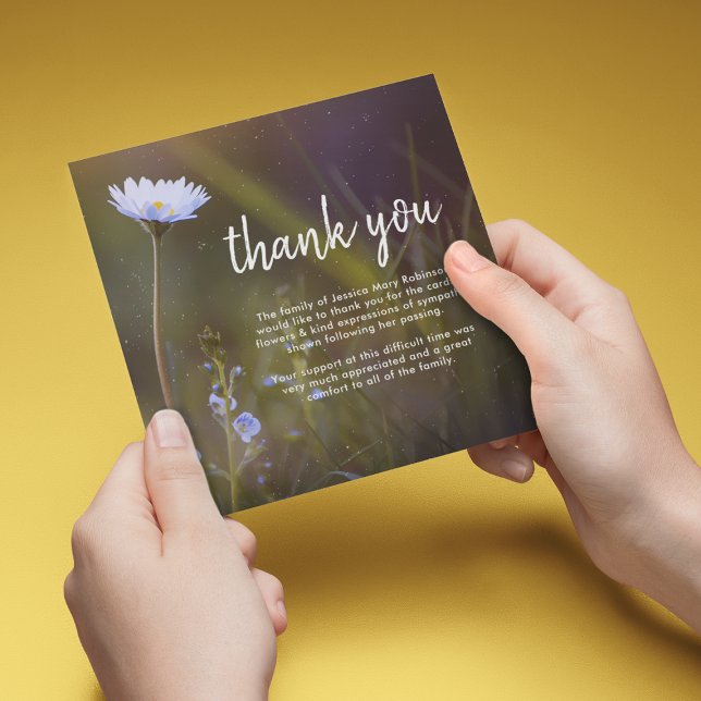 Beerdigung danke | Daisy-Blume (Von Creator hochgeladen)