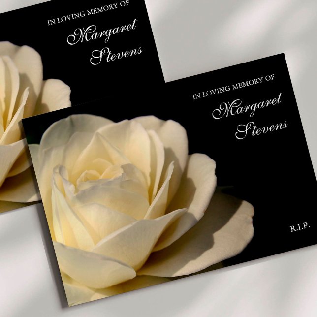 Beerdigung Dankeschön Karten | Weißrosen (White Rose Memorial Sympathy Funeral Thank You Card)
